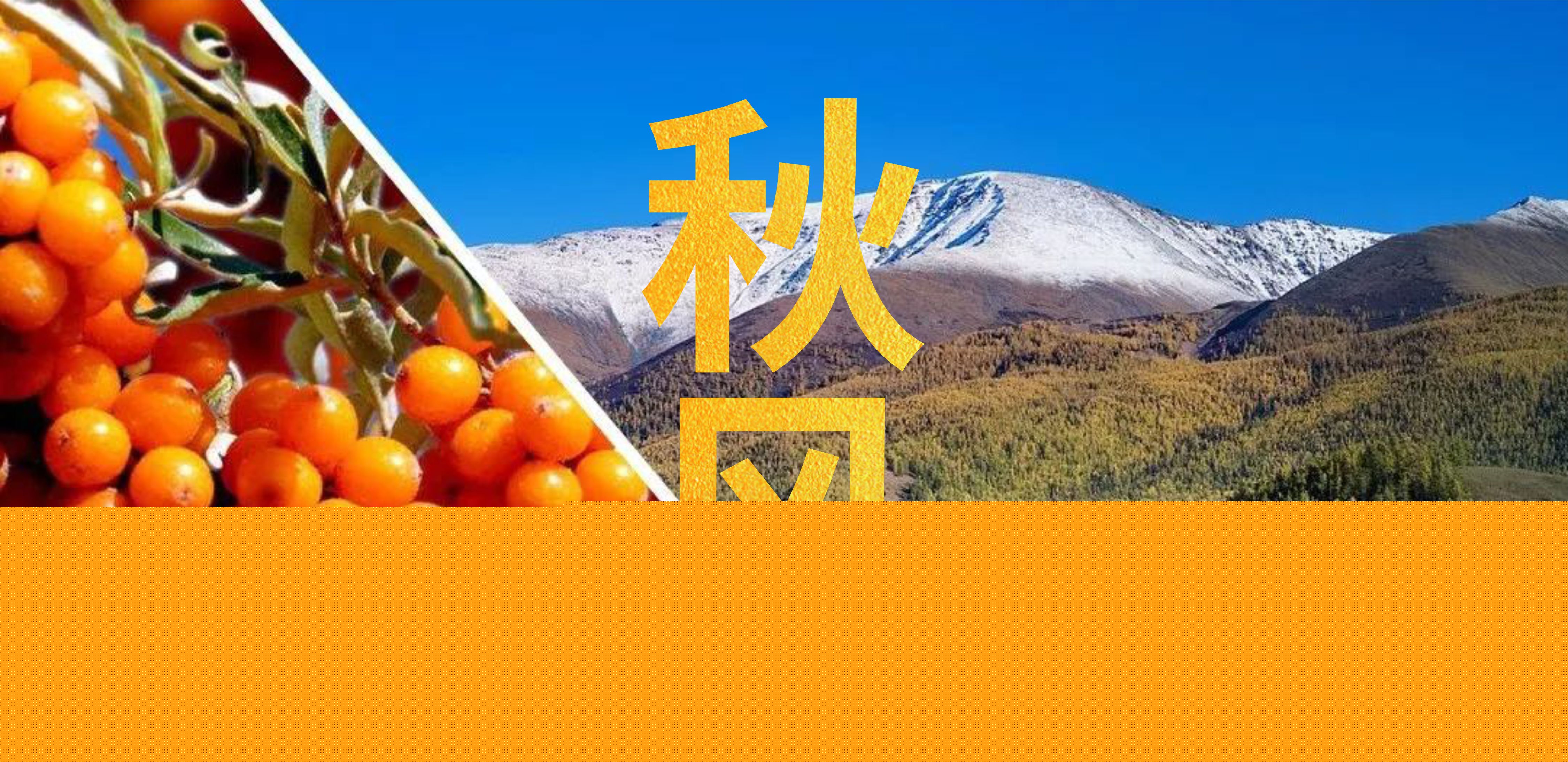 微信图片_20250923102449.jpg